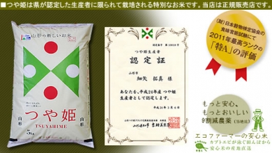 新米つや姫山形から産地直送