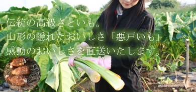 高級里芋　悪戸いも