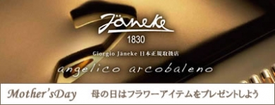 ヤネケ janeke ヘアアクセ バレッタ クリップ ハンドメイド