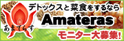 菜食・デトックス・プチ断食について正しい知識を身につけるなら『あまてらす』