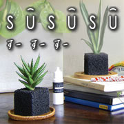 SU SU SUオンラインショップ