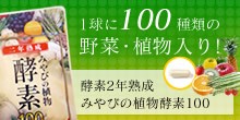 二年熟成・みやびの植物酵素100