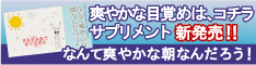 なんて爽やかな朝なんだろう！