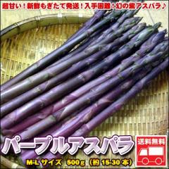 北海道産 パープルアスパラ