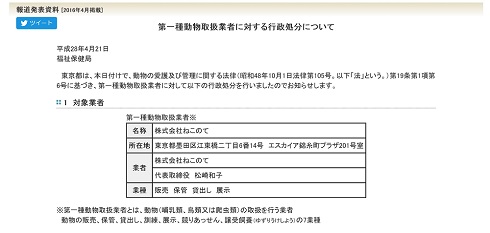 行政処分を受けたねこのて