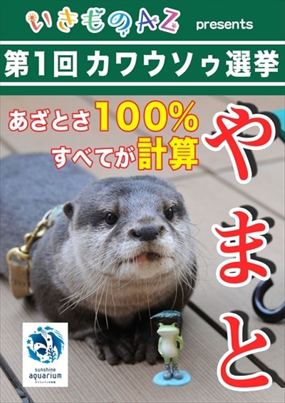 カワウソ総選挙中間発表