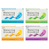 ウォータリングキスミントガム4種4個セット