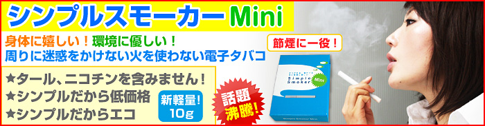 シンプルスモーカーミニ