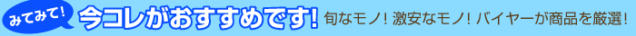 みてみて！今コレがおすすめです！