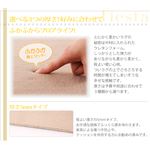 マイクロファイバーラグ 【fiesta】 フィエスタ ブラウン 厚さ5mmタイプ190×190cm