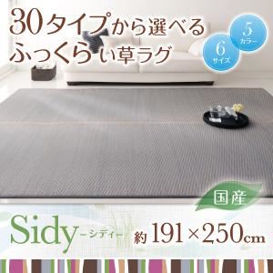 30タイプから選べる国産ふっくらい草ラグ【Sidy】シディ 191×250cm ブラウン