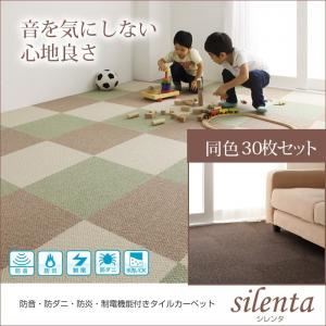 防音・防ダニ・防炎・制電機能付きタイルカーペット【silenta】シレンタ 同色30枚入り ブラウン
