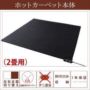 20色から選べる！ マイクロファイバーラグ ホットカーペット本体