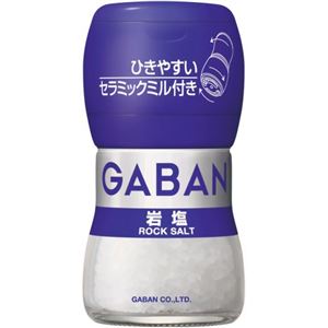 ギャバン 岩塩 40g ミル付き【6セット】