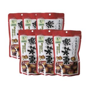 有機 楽笑栗(らくしょうぐり) 100g×6袋セット【2セット】