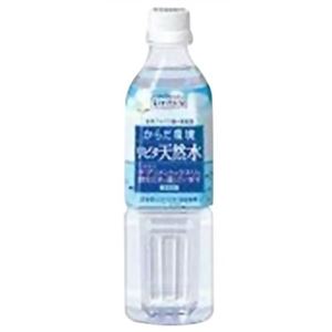 リビタ天然水 500ml×24本