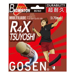 GOSEN（ゴーセン） マルチレイド アール・フォー・エックス ツヨシ コスモブラック BS160CB 【2個セット】
