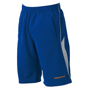 ProStatus（ZETTゼットプロステイタス） PROSTATUS トレーニングハーフパンツ BPRO720HP ロイヤルブルー S （野球）