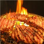亀山社中 焼肉・BBQボリュームセット 5.1kg