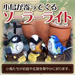 ｹｰﾀｲ国盗り合戦国盗りクイズ答え合わせ 10 31 第六傾奇王紋次郎のわかりやすい国盗りクイズと城めぐクイズの答え
