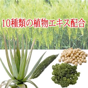 nearm（ネアーム） 青汁ジェル ナチュラルone  【2個セット】