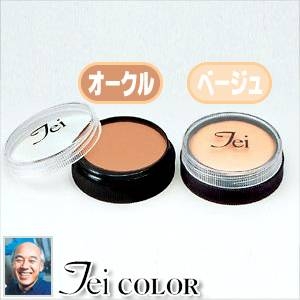 ＴＥＩカラー スポットカバー（シミ・アザ消し）オークル