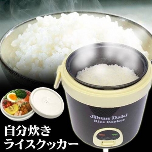 おかずもアツアツ！ 自分炊きライスクッカー　FRC-550