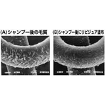 キューティクル保護ジェル エミナン