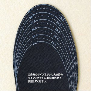 シリカクリン　消臭インソール　男性用（5枚組） 靴のニオイ撃退！大切な靴をニオイから守る！
