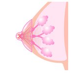 乳首吸引器　CHUUU-TOP（チュートップ）