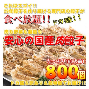 【ワケあり】安心の国産餃子800個！！160人前！！