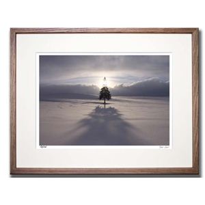 風景専門店あゆわら 《アートフォトフレーム》 クリスマスツリーの木の夕日5/美瑛町 【富良野・高橋真澄】