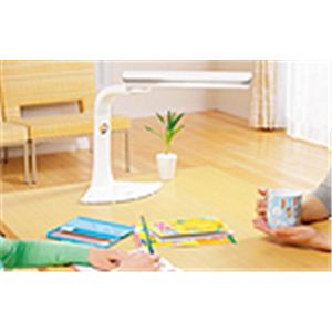 TWINBIRD(ツインバード) タッチインバータ蛍光灯 LK-H699BR ライトブラウン