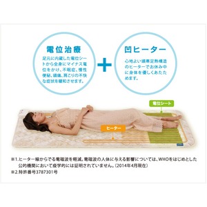 ATEX（アテックス） 家庭用電位治療器 イオネスアルファ シングル AX-HM1010S