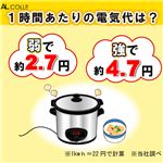 AL COLLE（アルコレ） 　スロークッカー・タイマー付煮込み名人(直火対応!) ASC-T25