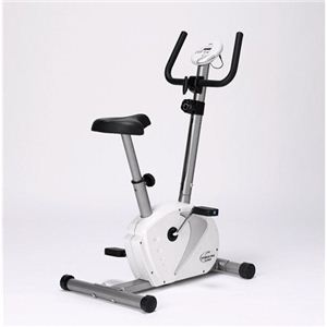 ALINCO（アルインコ） エアロマグネティックバイク4011 AFB4011