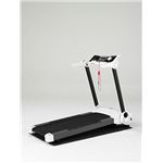 ALINCO（アルインコ） エクサフューチャービートスリムプロ AFW1312