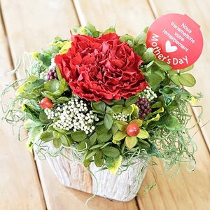 【母の日限定　30個限定】カーネーションプリザーブドフラワーアレンジメント☆メッセージカード付♪何でも見つかる通販ショップ♪何でも見つかる通販ショップ♪　ミックスウェブショップ　ファッション　ダイエット　ブランド　美容コスメ　生活雑貨　家電