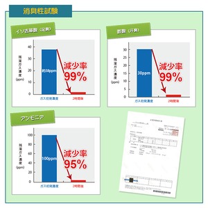 足臭い対策インソール（靴の中敷） 菌ピタ君（25.5～26cm）×4足 足臭い（悪臭）を根源から対策！！菌ピタ君