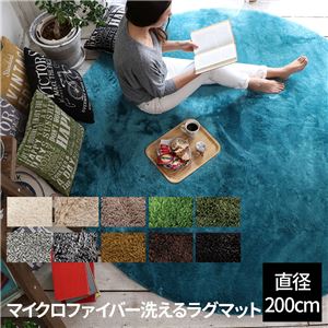 EXマイクロファイバー洗えるラグマット (直径200cm) ミント