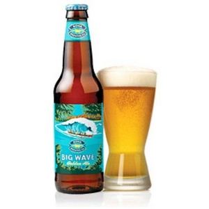 ビッグウェーブ ゴールデンエール（輸入ビール） 355瓶 【2セット計48本】