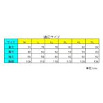ヴィンテージシャツ 95：ヴィンテージブラック 5L 3815