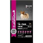 Eukanuba（ユーカヌバ） メンテナンス小型犬超小粒 1.5Kg （ドッグフード） 【ペット用品】