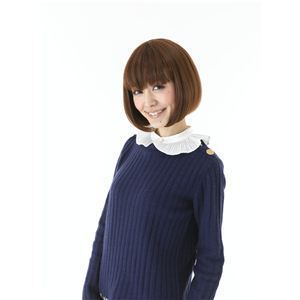 オールウィッグ AL-1 ナチュラル（耐熱）