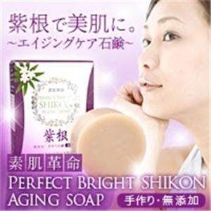 素肌革命 パーフェクトブライトシコンエイジングソープ