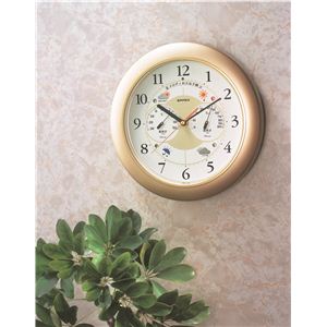 メロディ気象台EX BW-5208 シャンパンゴールド