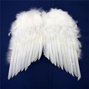 【パーティーグッズ】天使の翼 (S)