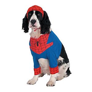 disguise Classic Spiderman ／ Spiderman Pet L スパイダーマン ペットコスチューム