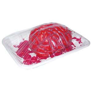 81506 Creepy Cuts-Brain
