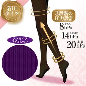 デコラティブ エステレッグ 着圧タイツ ストライプバイオレット M～L